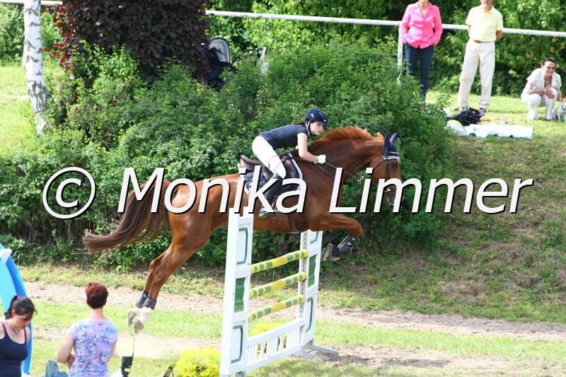 204M6478_Lumpi_Spring Mx.JPG